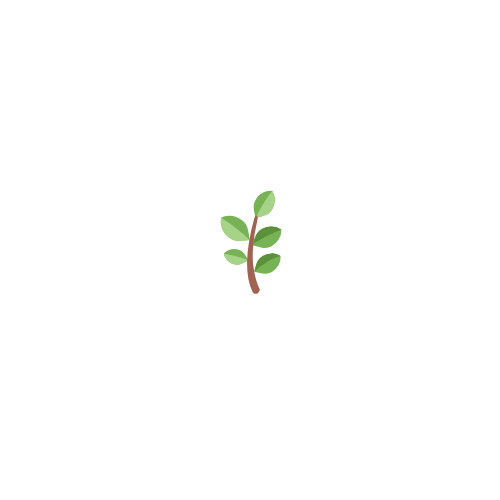 Mediraz - Your health, fitness and wellness hub!